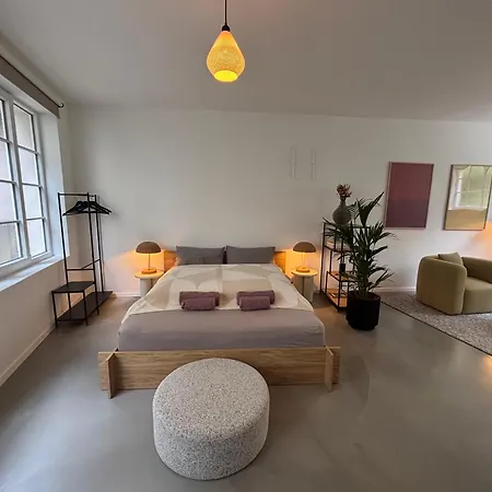 Design Serviced Modern And Stylish Daire *