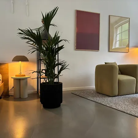 Design Serviced Modern And Stylish Daire *