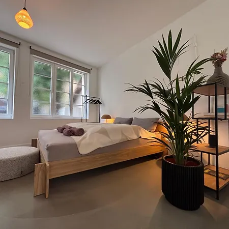 Design Serviced Modern And Stylish *