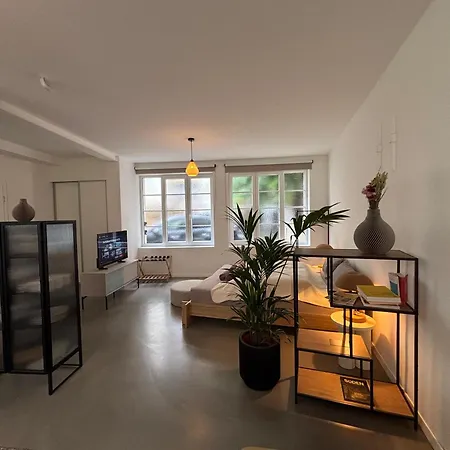 Design Serviced Modern And Stylish Daire