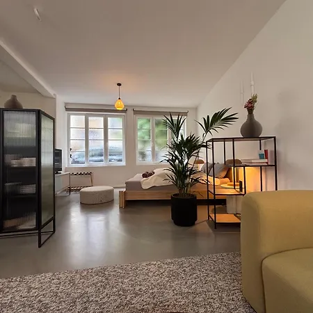 Design Serviced Modern And Stylish